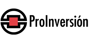 PRO-INVERSION